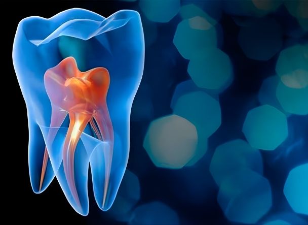Ilustración 3D de un diente translúcido con la pulpa y los conductos radiculares en color naranja sobre fondo azul oscuro.